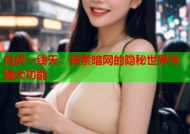 白虎一线天：探索暗网的隐秘世界与强大功能