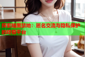 探索暗黑禁地：匿名交流与隐私保护的终极平台
