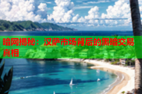 暗网揭秘：汉萨市场背后的黑暗交易真相
