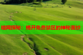 暗网探秘：揭开免费禁区的神秘面纱
