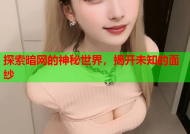 探索暗网的神秘世界，揭开未知的面纱