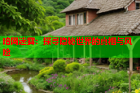 暗网迷雾：探寻隐秘世界的真相与风险