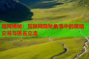 暗网揭秘：互联网隐秘角落中的黑暗交易与匿名交流