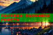 探索暗网的秘密：匿名交易与隐私保护的最佳平台