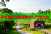 探索暗网的隐秘世界与禁忌之地