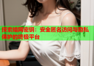 探索暗网密钥：安全匿名访问与隐私保护的终极平台