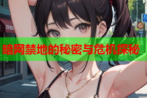 暗网禁地的秘密与危机探秘