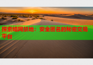 探索暗网禁地：安全匿名的秘密交易平台