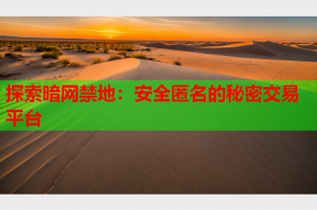 探索暗网禁地：安全匿名的秘密交易平台