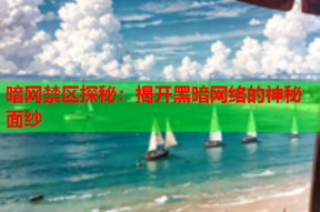 暗网禁区探秘：揭开黑暗网络的神秘面纱