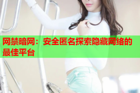 网禁暗网：安全匿名探索隐藏网络的最佳平台