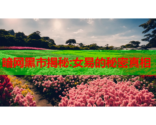 暗网黑市揭秘:女易的秘密真相  第1张