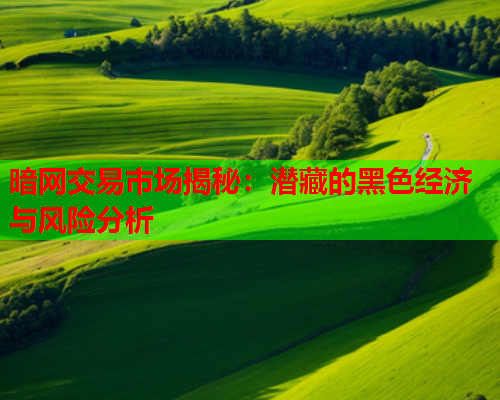 暗网交易市场揭秘：潜藏的黑色经济与风险分析  第1张