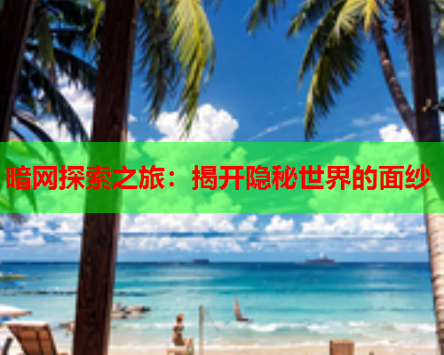 暗网探索之旅：揭开隐秘世界的面纱  第1张