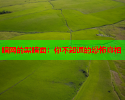 暗网的黑暗面：你不知道的恐怖真相  第1张