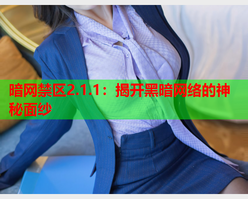 暗网禁区2.1.1：揭开黑暗网络的神秘面纱  第1张