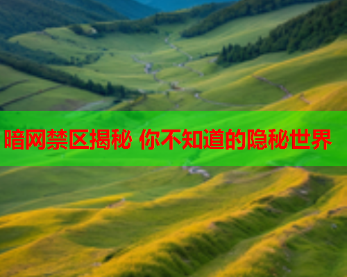 暗网禁区揭秘 你不知道的隐秘世界  第1张