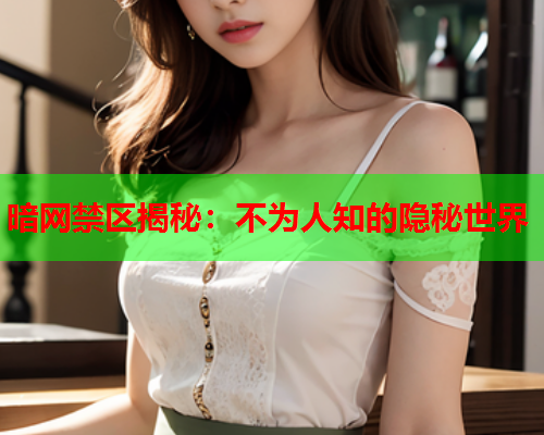 暗网禁区揭秘：不为人知的隐秘世界  第1张