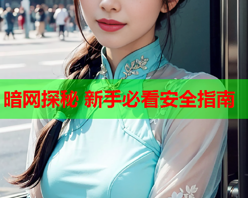 暗网探秘 新手必看安全指南  第2张