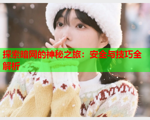 探索暗网的神秘之旅：安全与技巧全解析  第2张