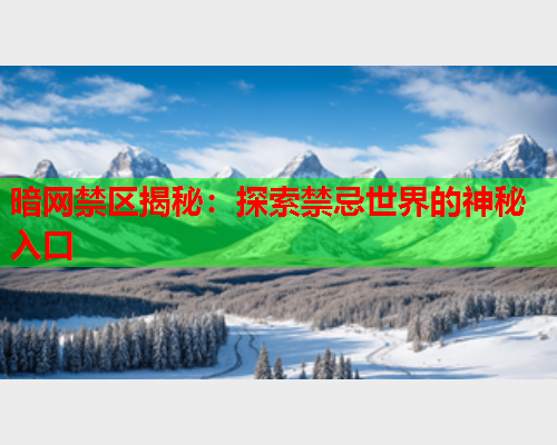 暗网禁区揭秘：探索禁忌世界的神秘入口  第1张