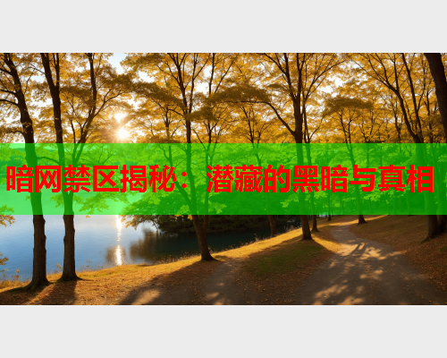 暗网禁区揭秘：潜藏的黑暗与真相  第2张