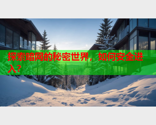 探索暗网的秘密世界，如何安全进入？  第1张