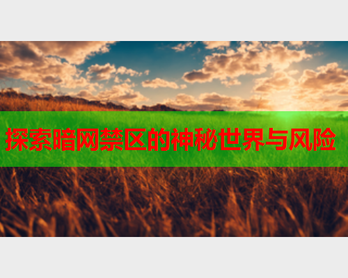探索暗网禁区的神秘世界与风险  第1张
