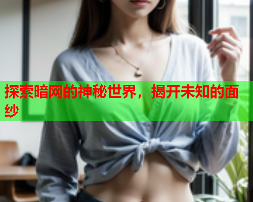 探索暗网的神秘世界，揭开未知的面纱  第2张