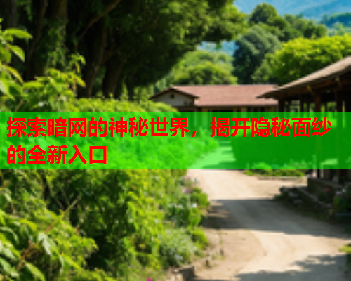 探索暗网的神秘世界，揭开隐秘面纱的全新入口  第2张