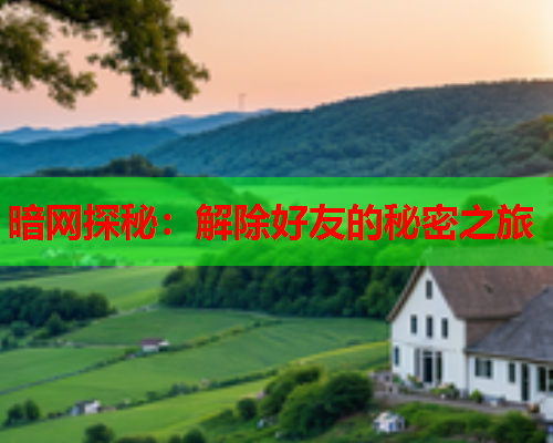 暗网探秘：解除好友的秘密之旅  第1张