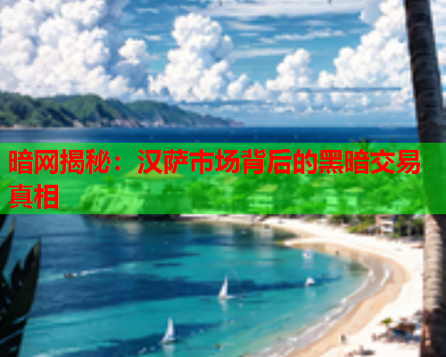 暗网揭秘：汉萨市场背后的黑暗交易真相  第1张