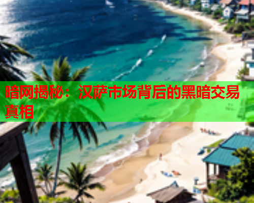 暗网揭秘：汉萨市场背后的黑暗交易真相  第2张