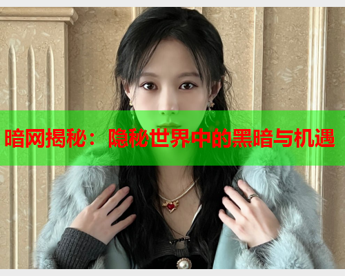 暗网揭秘：隐秘世界中的黑暗与机遇  第1张