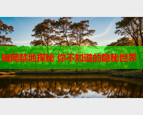 暗网禁地探秘 你不知道的隐秘世界  第1张