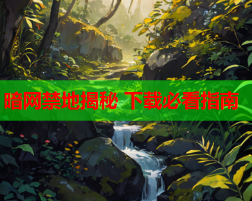 暗网禁地揭秘 下载必看指南  第2张