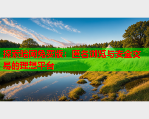 探索暗网免费版：匿名浏览与安全交易的理想平台  第2张