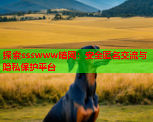 探索ssswww暗网：安全匿名交流与隐私保护平台  第2张