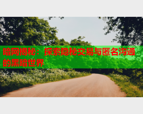 暗网揭秘：探索隐秘交易与匿名沟通的黑暗世界  第1张